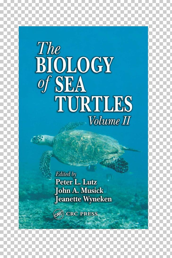 The Biology Of Sea Turtles Marine Biology PNG, Clipart, Anatomy, Animals, Aqua, Biology, Book Free PNG Download