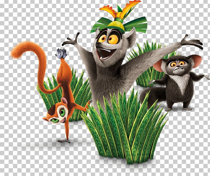 The All Hail King Julien Show Madagascar DreamWorks Animation Toggo PNG, Clipart, All Hail King Julien, All Hail King Julien Show, Animation, Dreamworks Animation, Flightless Bird Free PNG Download