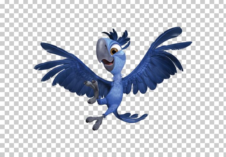Tiago Blu Jewel Rio PNG, Clipart, Animation, Art, Background, Beak, Bird Free PNG Download