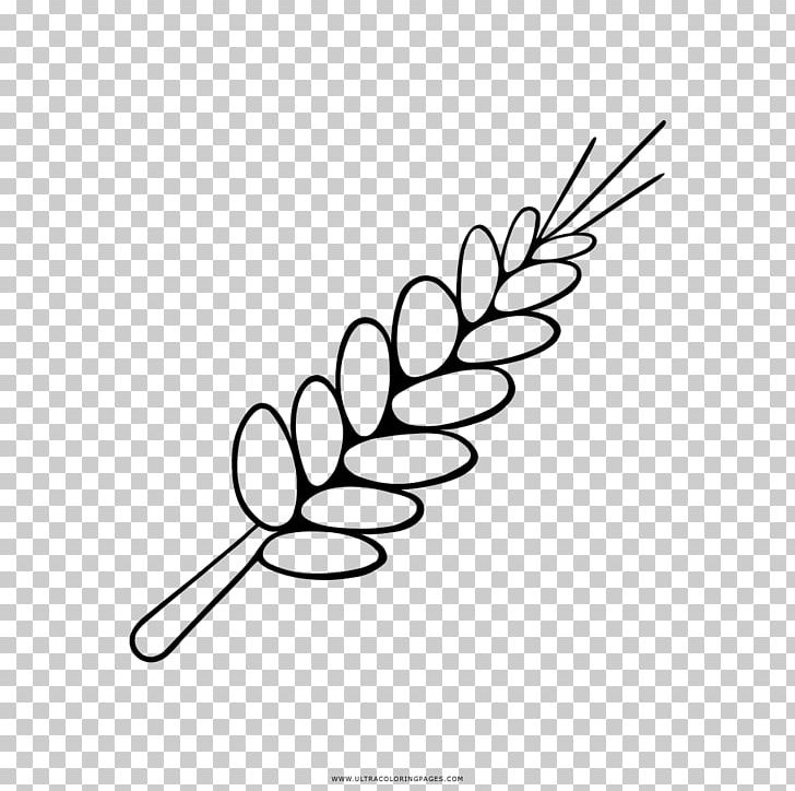 Drawing Coloring Book Wheat Ear PNG, Clipart, Area, Artwork, Barley, Black, Black And White Free PNG Download