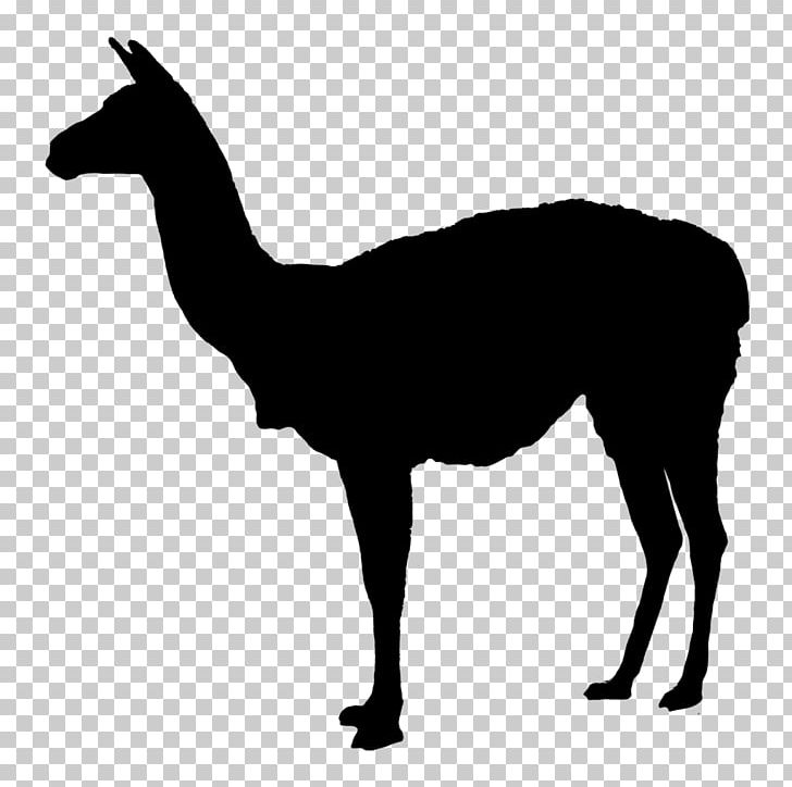 Llama Deer PNG, Clipart, Animals, Autocad Dxf, Black And White, Camel Like Mammal, Computer Icons Free PNG Download