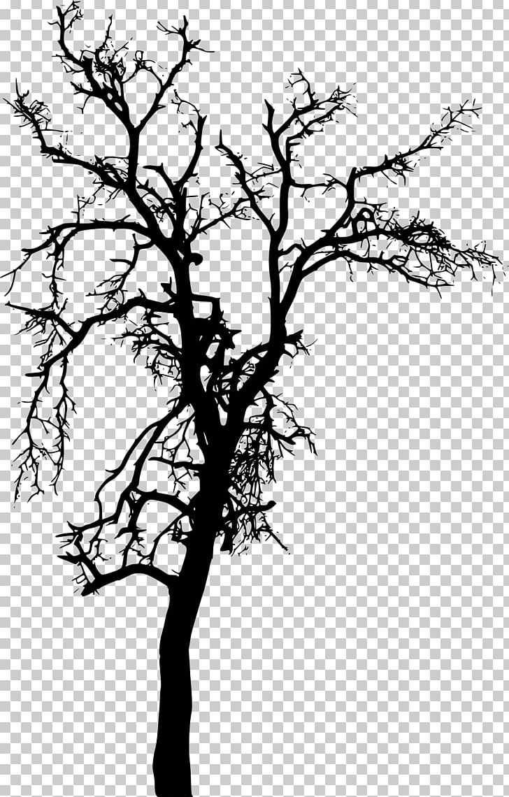 Tree Plant Branch Silhouette PNG, Clipart, Black And White, Branch, Drawing, Evergreen, Flowering Plant Free PNG Download