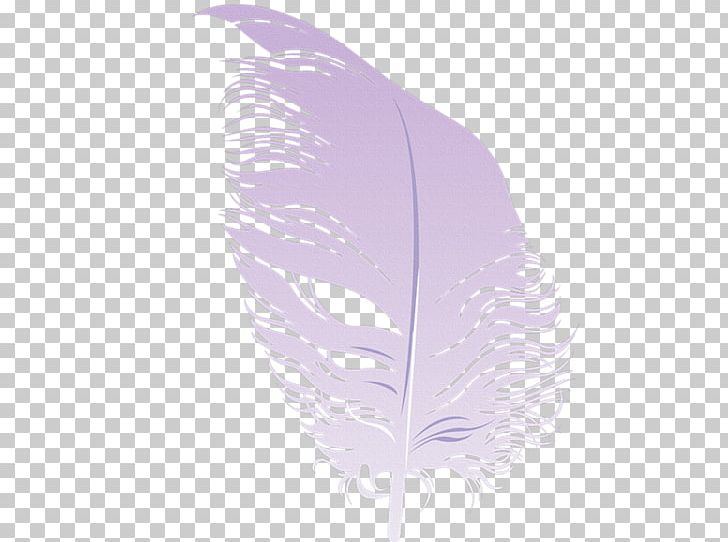 Feather PNG, Clipart, Feather, Leaf, Lilac, Purple, Quill Free PNG Download