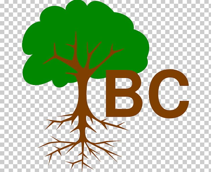 Root Tree Oak Branch PNG, Clipart, Arecaceae, Artwork, Baptist Church, Bonsai, Branch Free PNG Download