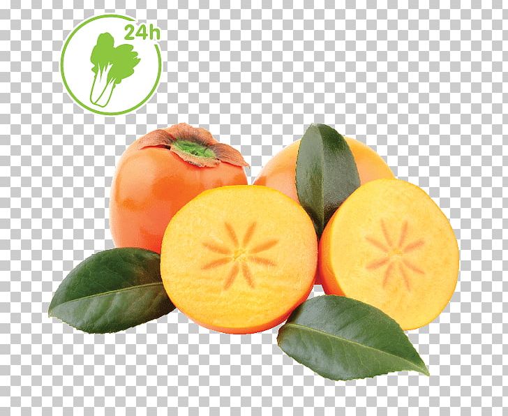 Clementine Tangerine Mandarin Orange Tangelo Bitter Orange PNG, Clipart, Bitter Orange, Citrus, Clementine, Cucurbita, Diet Free PNG Download