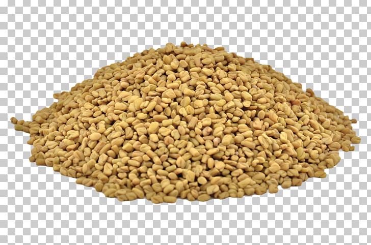 Vegetarian Cuisine Fenugreek Organic Food Herb Cereal PNG, Clipart, Ajwain, Bran, Cereal, Cereal Germ, Commodity Free PNG Download