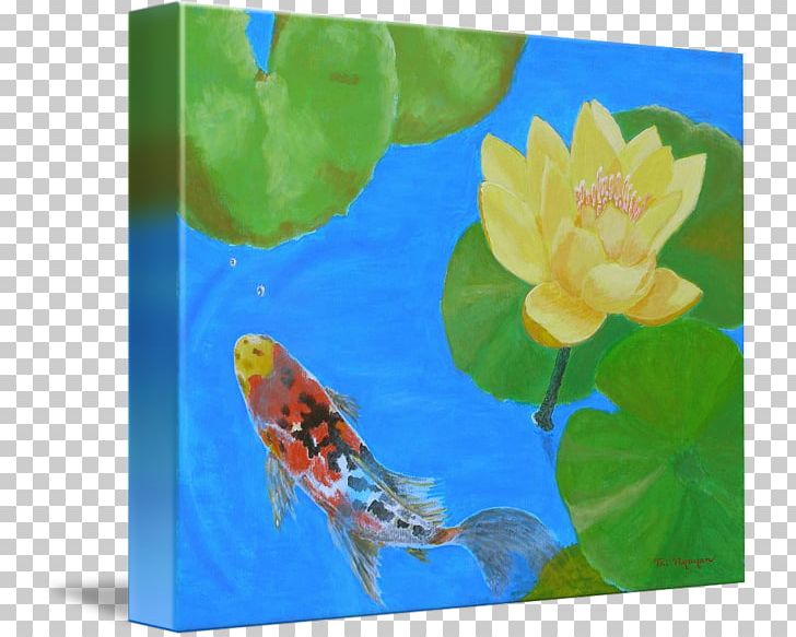 Koi Insect Petal Pollinator Aquatic Plants PNG, Clipart, Animals, Aquatic Animal, Aquatic Plant, Aquatic Plants, Fish Free PNG Download