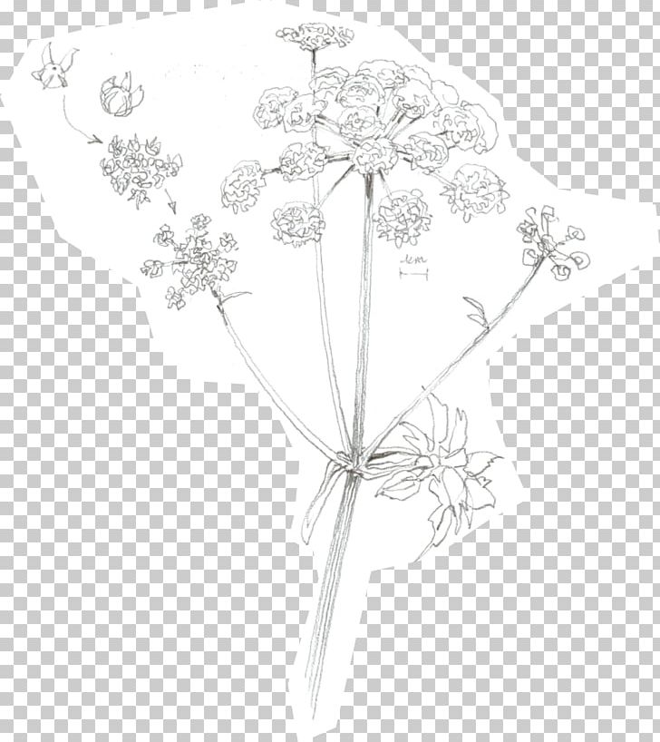Petal Floral Design White Symmetry Pattern PNG, Clipart, Black And White, Branch, Drawing, Flora, Floral Design Free PNG Download