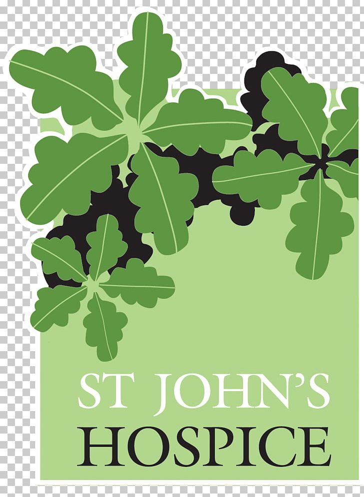 Sue Ryder St John's Hospice Palliative Care PNG, Clipart,  Free PNG Download