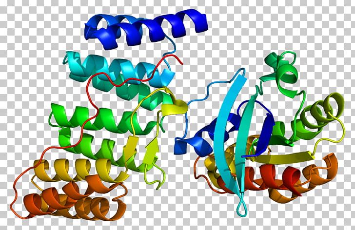 Neutrophil Cytosolic Factor 2 NADPH Oxidase Protein PNG, Clipart, Art, Artwork, Cytochrome, Cytosol, Gene Free PNG Download