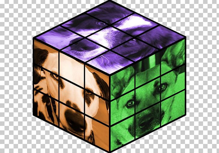 Cats Rubik's Cube Puzzle Game PNG, Clipart,  Free PNG Download