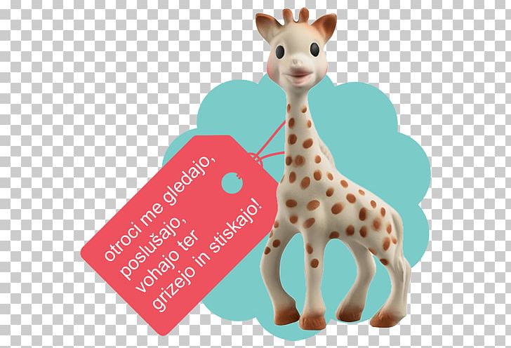 Sophie The Giraffe Teether Infant Vulli S.A.S. PNG, Clipart, Animals, Baby Transport, Child, Gift, Giraffe Free PNG Download