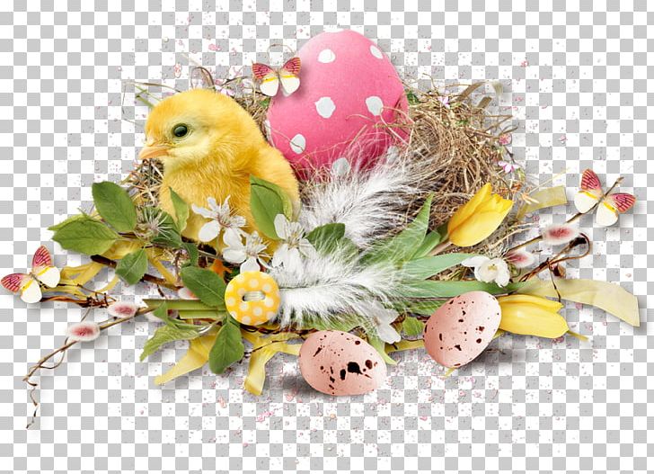 Easter Blog Photography Bird PNG, Clipart, Animal, Bird, Blog, Dish, Easter Free PNG Download