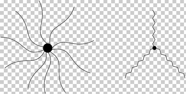 Pollinator Insect Plant Stem White Flower PNG, Clipart, Arthropod, Black And White, Circle, Diagram, Drawing Free PNG Download