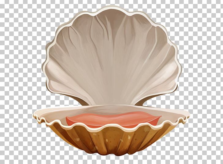 Seashell Marine PNG, Clipart, Animals, Beach, Bowl, Clip Art, Computer Network Free PNG Download