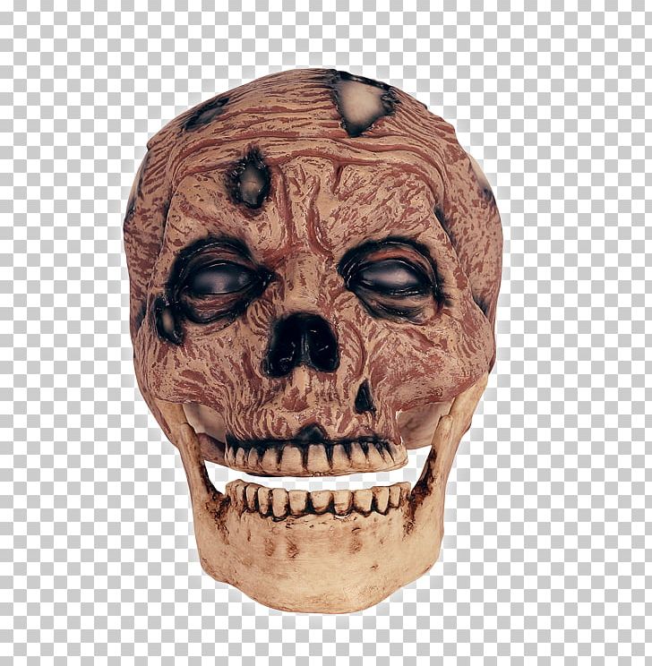 Skull Zombie Head Anatomy PNG, Clipart, Anatomy, Base Of Skull, Bone, Cadaver, Calvaria Free PNG Download