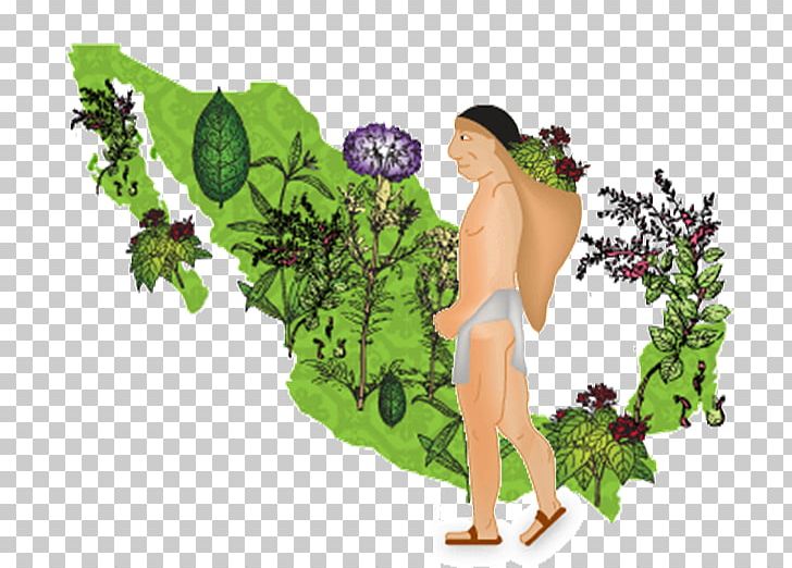 Ixu Medicina Natural Traditional Medicine Knowledge Science PNG, Clipart, Biology, Concept, Education Science, Fictional Character, Flora Free PNG Download