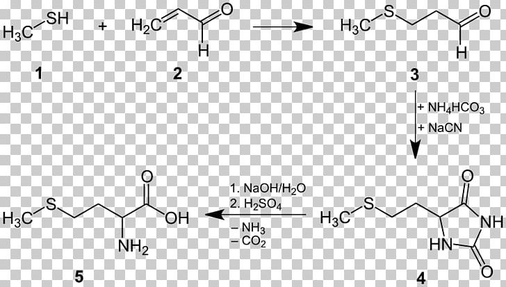 Methionine Cysteine Chemical Synthesis Proteinogenic Amino Acid Chemistry PNG, Clipart, Amino Acid, Amino Acid Synthesis, Angle, Area, Auto Part Free PNG Download
