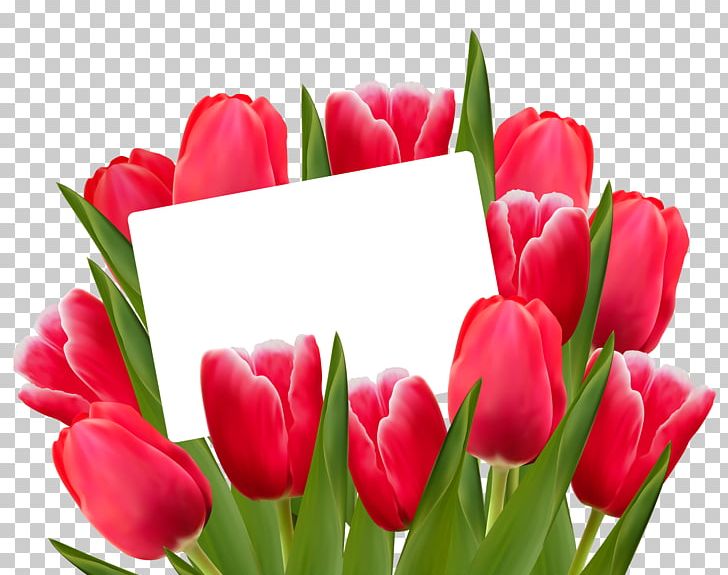 Tulip Flower Red PNG, Clipart, Color, Cut Flowers, Floral Design, Floristry, Flower Free PNG Download