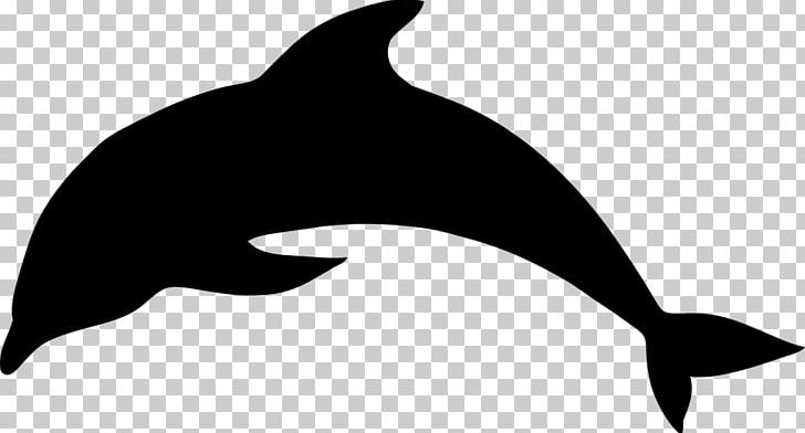 Silhouette Dolphin PNG, Clipart, Animals, Art, Beak, Black, Black And White Free PNG Download