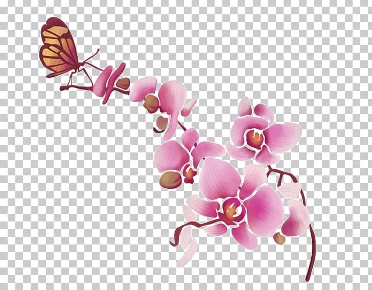 Wall Decal Orchids Lepidoptera Furniture PNG, Clipart, Branch, Butterfly, Cut Flowers, Decal, Flora Free PNG Download