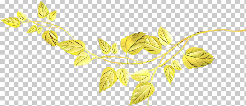 Yellow Leaf Plant Flower PNG, Clipart, Flower, Leaf, Plant, Yellow Free PNG Download