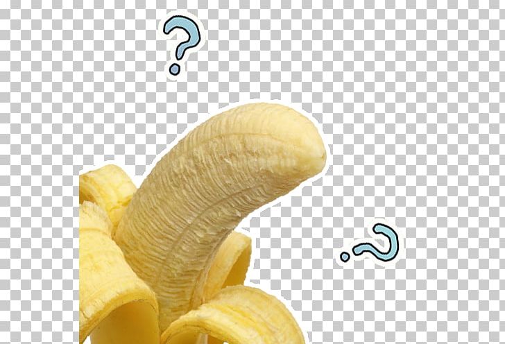 Banana Video Game Food PNG, Clipart, 4chan, Anonymous, Banana, Banana Family, Canine Free PNG Download