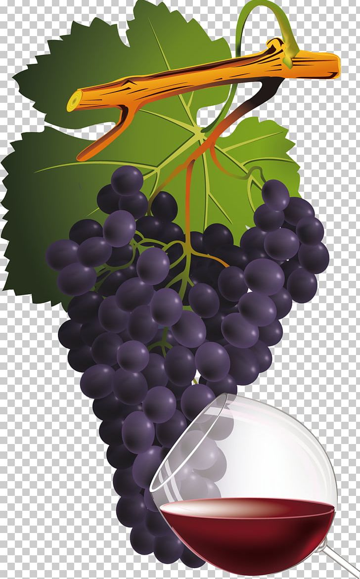 Common Grape Vine Red Wine PNG, Clipart, Barrel, Bottle, Box Wine, Common Grape Vine, Flowering Plant Free PNG Download