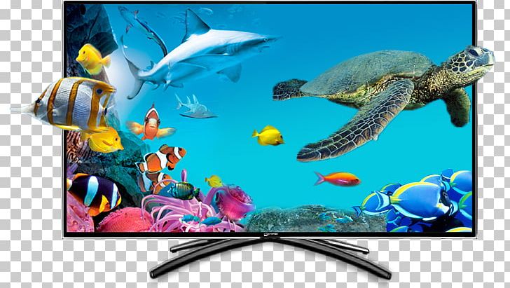 LED-backlit LCD High-definition Television Light-emitting Diode Television Set PNG, Clipart, 4k Resolution, 1080p, Advertising, Apple Tv, Aquarium Free PNG Download