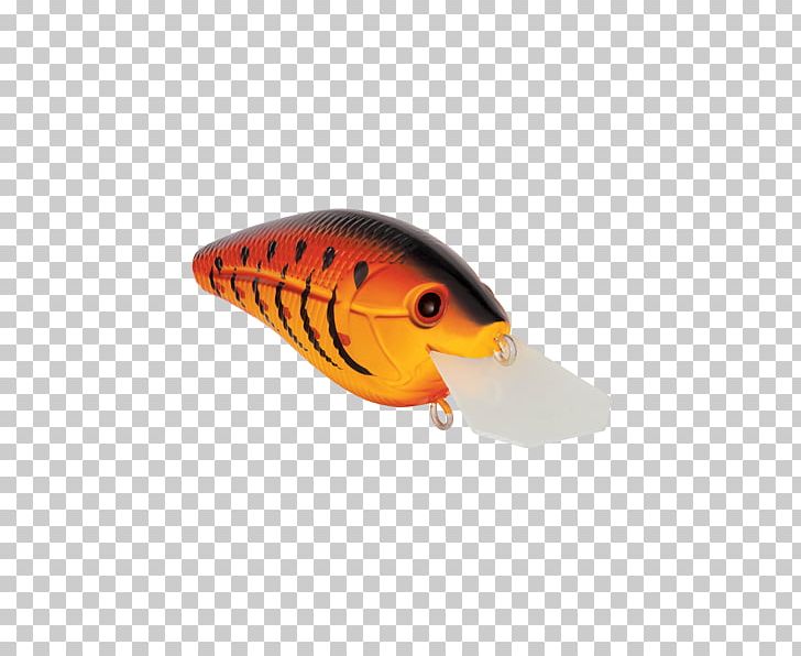 Spoon Lure Perch Fish AC Power Plugs And Sockets PNG, Clipart, Ac Power Plugs And Sockets, Bait, Cb 1, Craw, Fin Free PNG Download