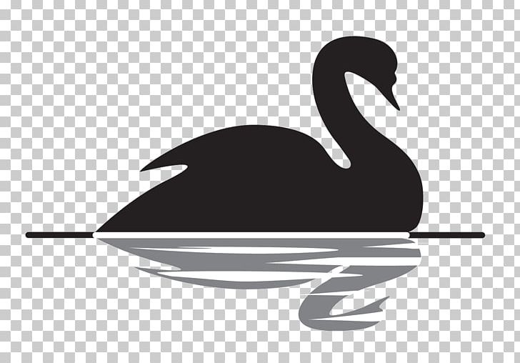 The Black Swan: The Impact Of The Highly Improbable Antifragile Black Swan Theory Prediction PNG, Clipart, Animals, Antifragile, Beak, Bird, Black And White Free PNG Download