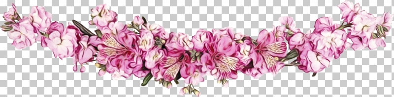 Pink Cut Flowers Flower Plant Petal PNG, Clipart, Cut Flowers, Floral Line, Flower, Flower Background, Flower Border Free PNG Download