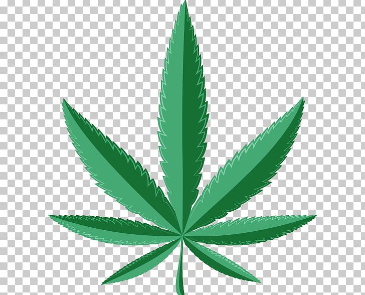 Medical Cannabis Medicine Cannabis Cultivation Leafly PNG, Clipart, Bong, Cannabidiol, Cannabinoid, Cannabinol, Cannabis Free PNG Download