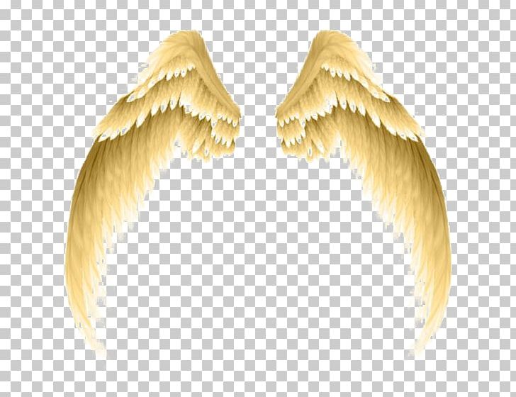Photography PNG, Clipart, Angel, Angel Wing, Angel Wings, Chicken Wings, Cli Free PNG Download