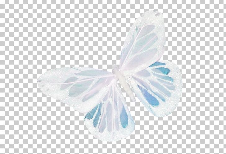 Plastic Multimedia Internet Forum PNG, Clipart, Blue, Butterfly, Download, Insect, Internet Forum Free PNG Download