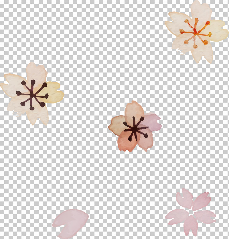 Cherry Blossom PNG, Clipart, Beige, Blossom, Cherry Blossom, Flower, Paint Free PNG Download