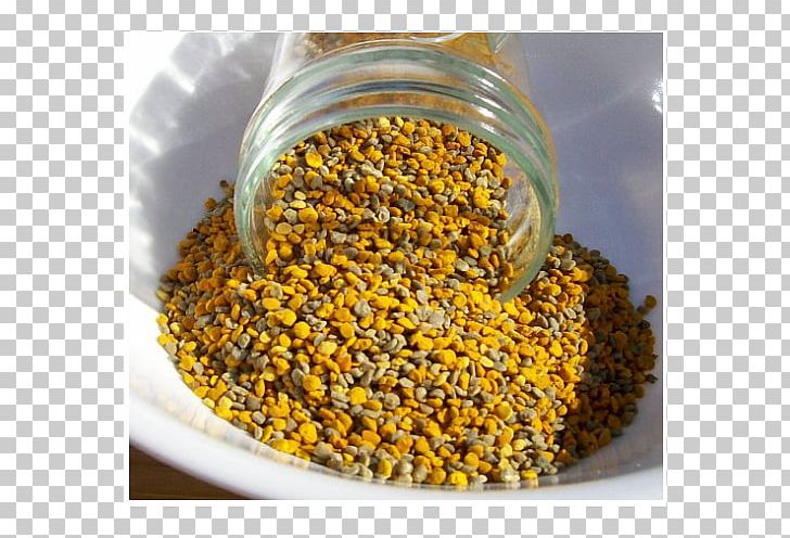 Bee Pollen Allergy Overcoming Allergies PNG, Clipart, Allergy, Bee, Commodity, Disease, Food Free PNG Download