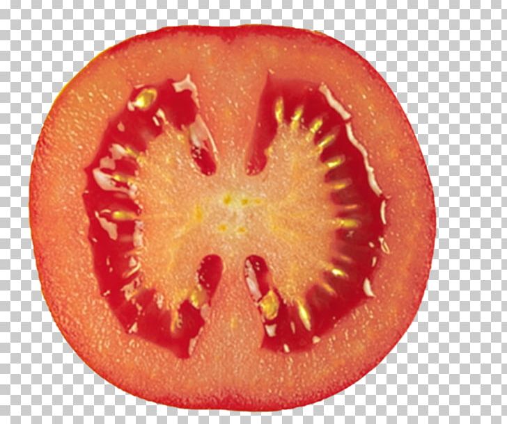 Tomato Doctrine Of Signatures Health Organ Food PNG, Clipart, Closeup, Eating, Flesh, Food, Fruit Free PNG Download