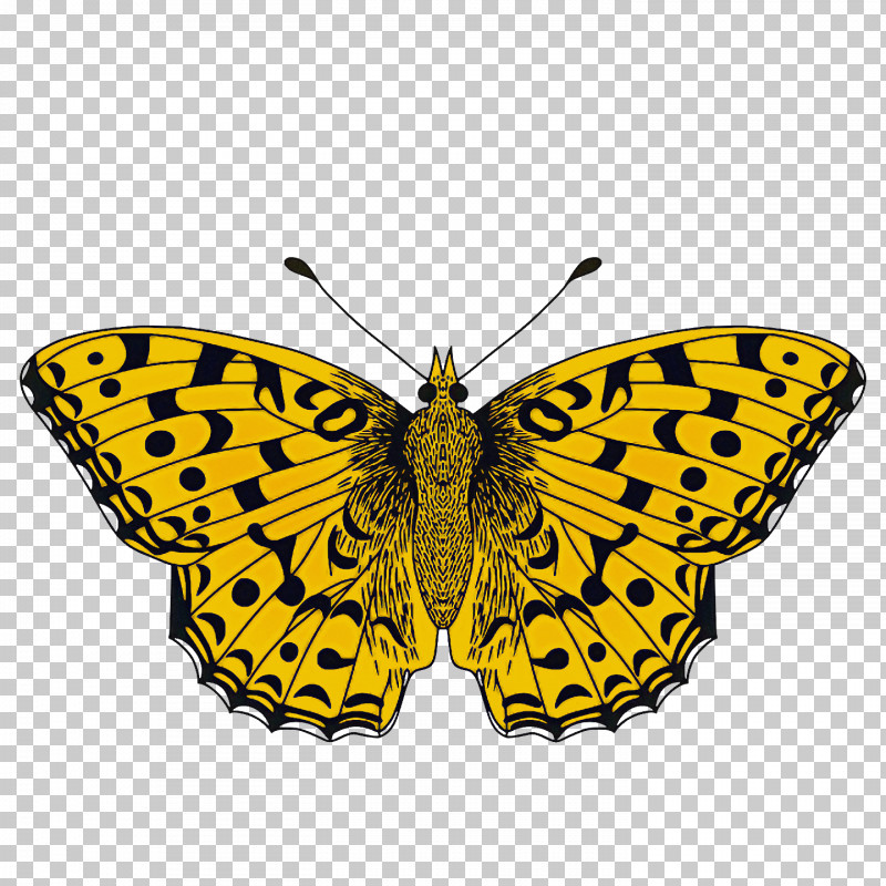 Monarch Butterfly PNG, Clipart, Borboleta, Brushfooted Butterflies, Butterflies, Caterpillar, Gossamerwinged Butterflies Free PNG Download