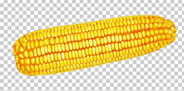 Corn On The Cob Maize Harvest Computer File PNG, Clipart, Autumn, Autumn Harvest, Cartoon Corn, Cob Vector, Commodity Free PNG Download
