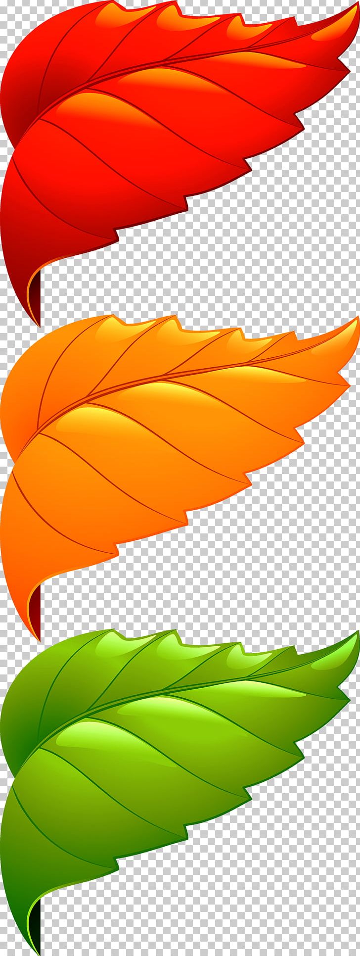 Maple Leaf Adobe Illustrator PNG, Clipart, Adobe Illustrator, Border Texture, Corner, Crimping, Decoration Free PNG Download