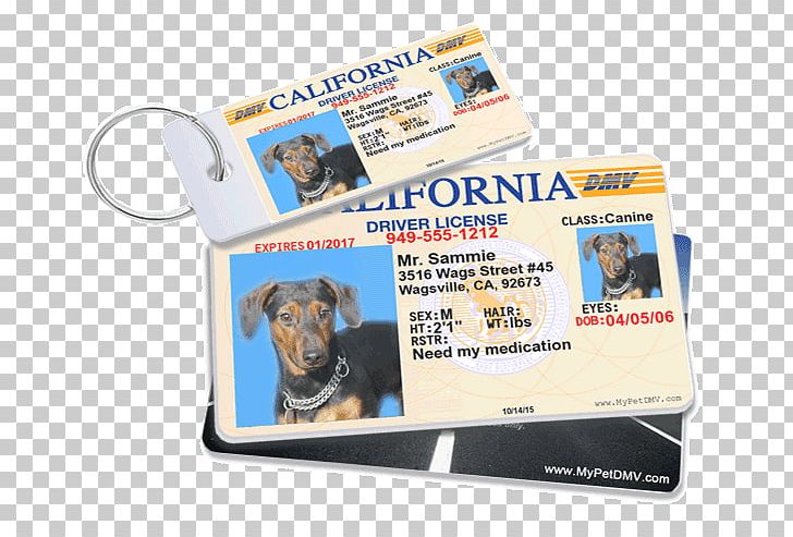 MyPetDMV PNG, Clipart, Drivers License, Driving License, Identity Document, Pet Free PNG Download