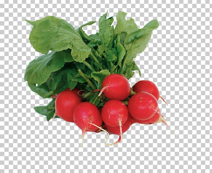 Organic Food Leaf Vegetable Salad PNG, Clipart, Beet, Beetroot, Broadbean, Bush Tomato, Daikon Free PNG Download