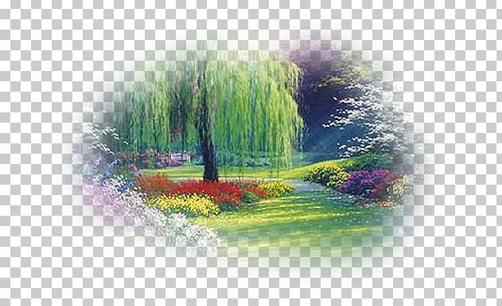 Weeping Willow Weeping Tree Garden Shrub PNG, Clipart, Art And Zen, Burning Bush, Computer Wallpaper, Energy, Garden Free PNG Download