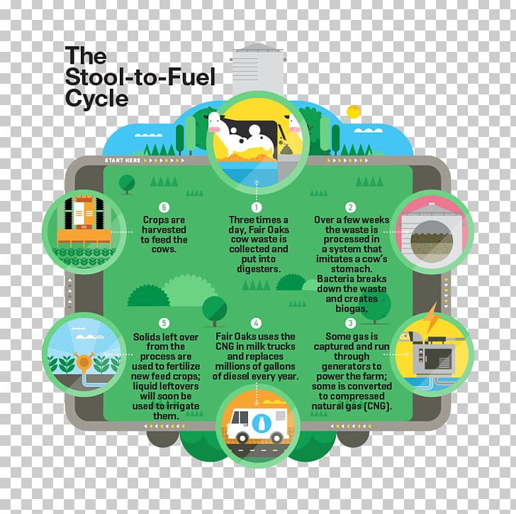 Cattle Anaerobic Digestion Renewable Natural Gas Dairy Farming PNG, Clipart, Agriculture, Anaerobic Digestion, Biogas, Cattle, Dairy Free PNG Download