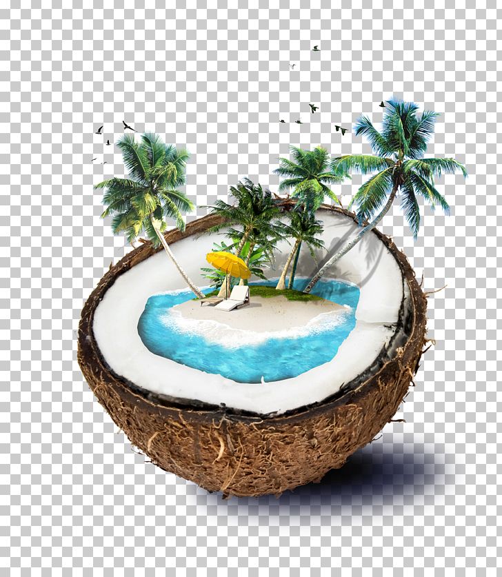 Coconut Water Travel PNG, Clipart, Advertising Design, Beach, Border, Border Frame, Brochure Free PNG Download