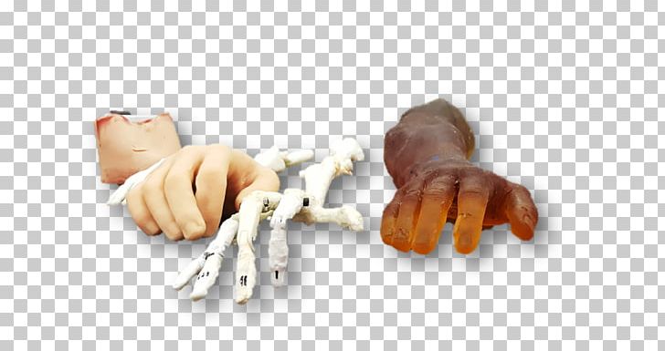 Decapoda Finger PNG, Clipart, Animal Source Foods, Claw, Decapoda, Finger, Neonate Free PNG Download