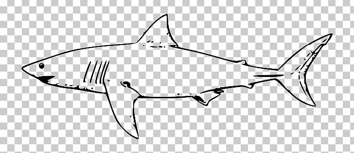 Great White Shark Lamniformes Hammerhead Shark Tiger Shark PNG, Clipart, Angle, Artwork, Black, Black And White, Black Outline Of A Fish Free PNG Download