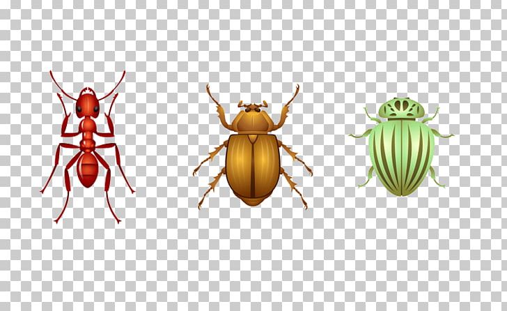 Insect Ladybird Euclidean Drawing PNG, Clipart, Animal, Animals, Animation, Aphid, Arthropod Free PNG Download
