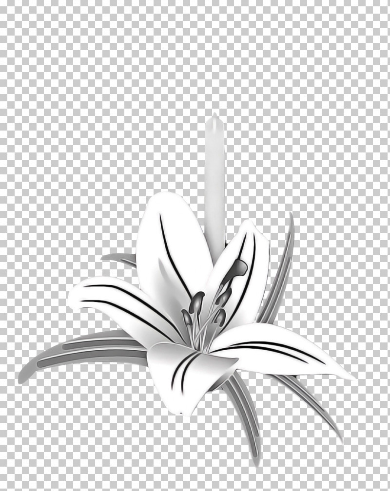 Black And White Flower PNG, Clipart, Black And White, Flower Free PNG Download